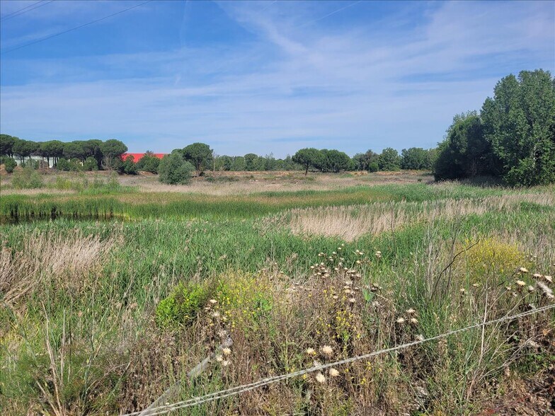 Terreno en Coreses en venta - Foto del edificio - Imagen 2 de 19