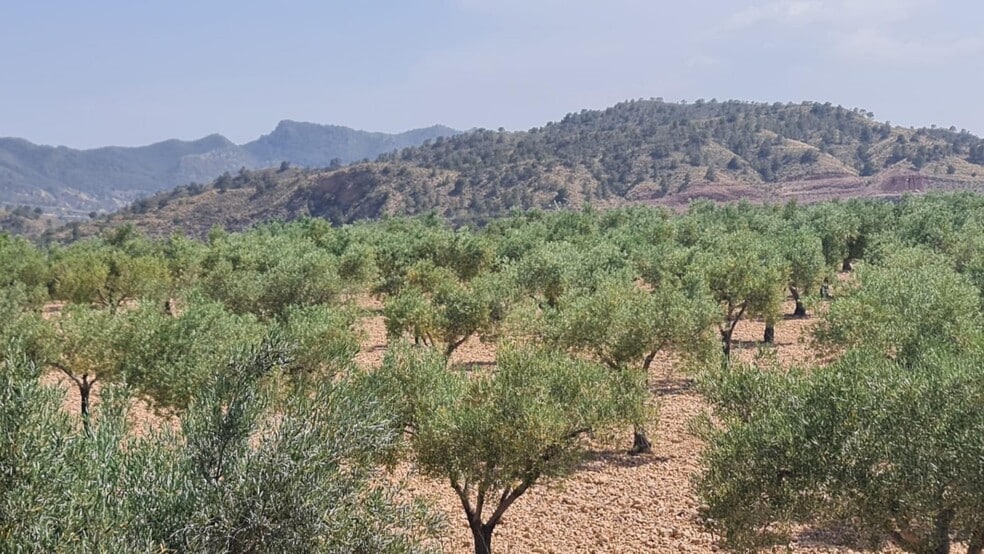 Terreno en Abanilla, Murcia en venta - Foto principal - Imagen 2 de 8