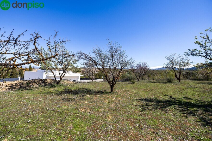 Calle Nevada, 4, Dílar, Granada en venta - Foto del edificio - Imagen 3 de 21