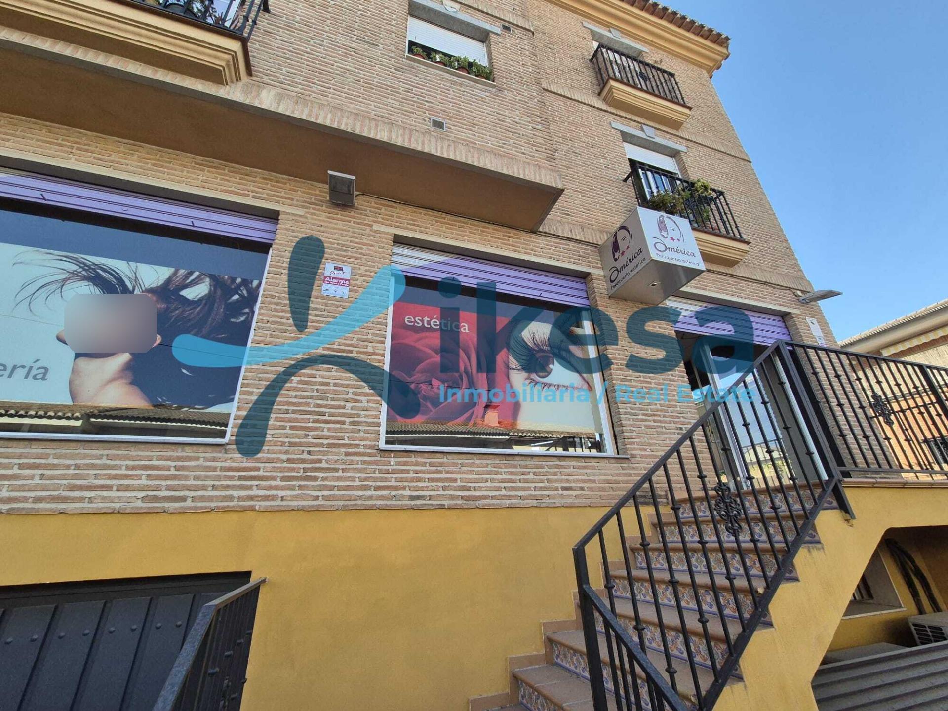 Local en La Zubia, Granada en alquiler Foto del edificio- Imagen 1 de 13