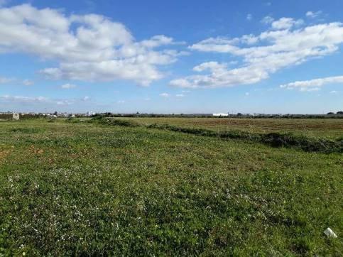 Terreno en Umbrete, Sevilla en venta - Plano del sitio - Imagen 2 de 3