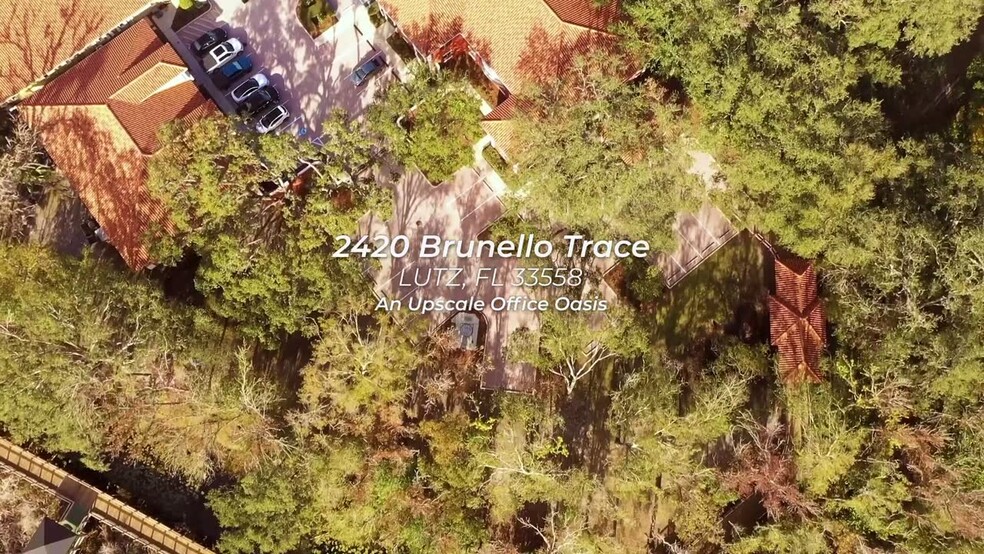 2420 Brunello Trace, Lutz, FL en venta - Vídeo de anuncio comercial - Imagen 2 de 38