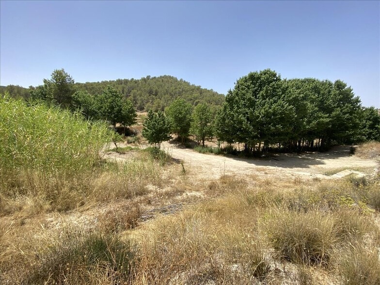 Camino del Peralejo, Sn, Jumilla, Murcia en venta - Foto del edificio - Imagen 2 de 17