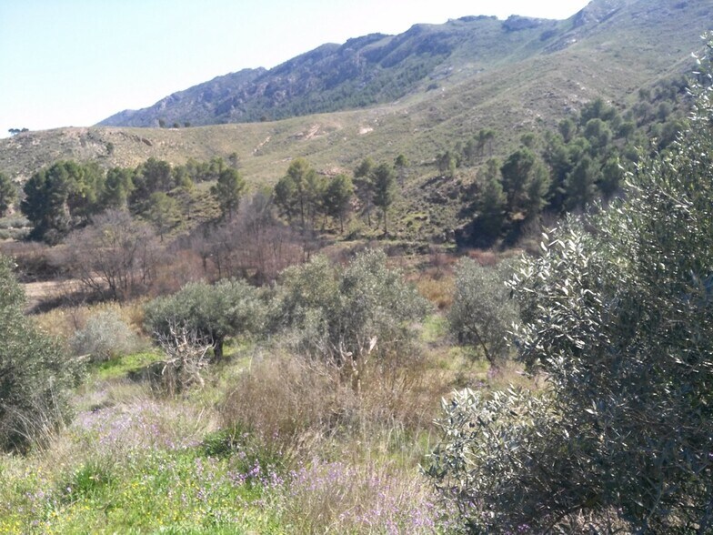 Terreno en Calasparra en venta - Foto del edificio - Imagen 2 de 10