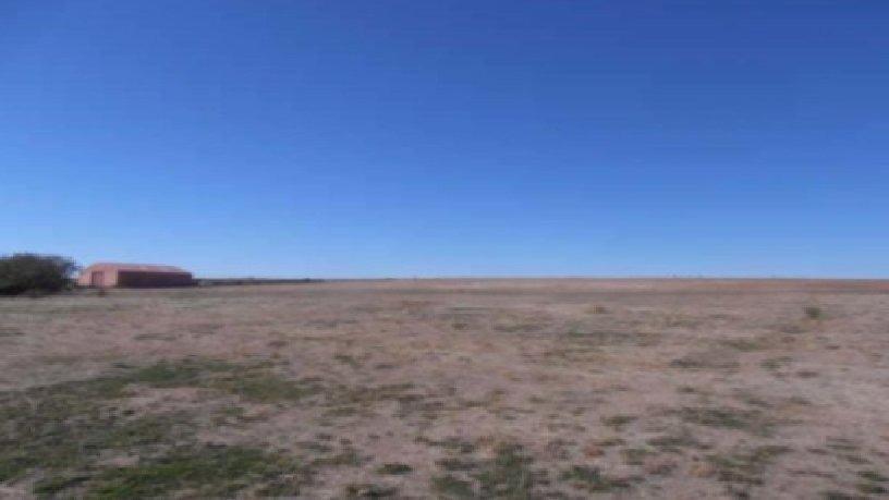 Terreno en Florida de Liébana, Salamanca en alquiler - Vista aérea - Imagen 1 de 3