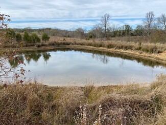 Más detalles para 1486 Martin Road, Ware Shoals, SC - Terrenos en venta