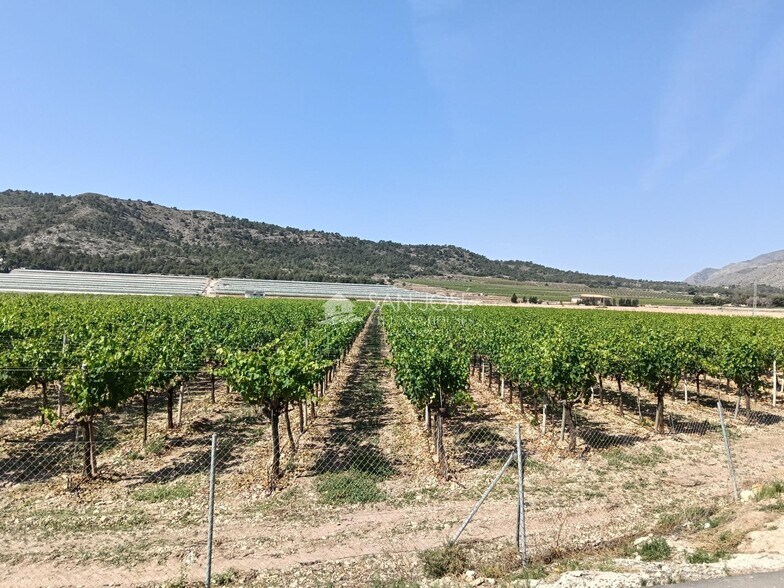 Terreno en Aspe, Alicante en venta - Vista aérea - Imagen 2 de 32