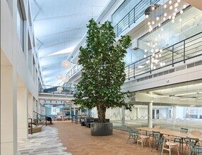 Lynch Wood, Peterborough en venta Foto del interior- Imagen 2 de 6