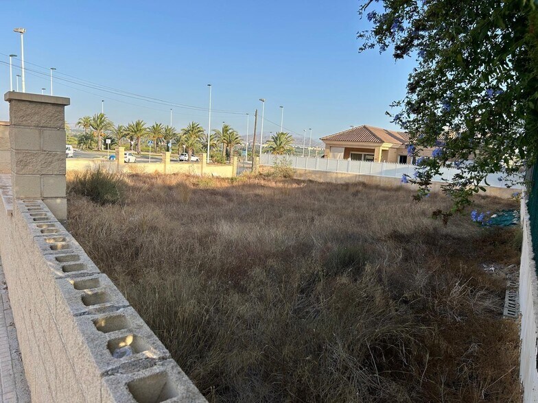 Terreno en Elche, Alicante en venta - Foto del edificio - Imagen 3 de 8