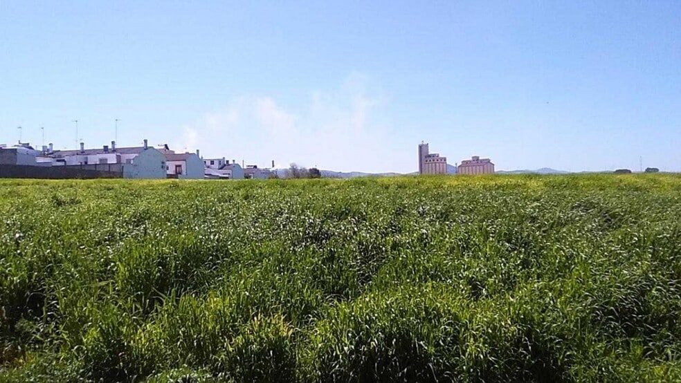 Terreno en Osuna en venta - Foto del edificio - Imagen 1 de 8