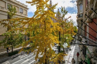 Calle Gran Vía de Colón, 29, Granada, GRA - Aérea  vista de mapa