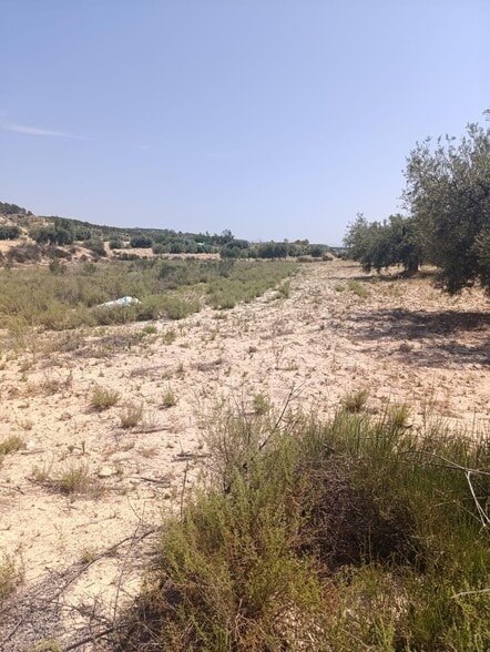 Terreno en Albudeite, Murcia en venta - Plano del sitio - Imagen 3 de 3