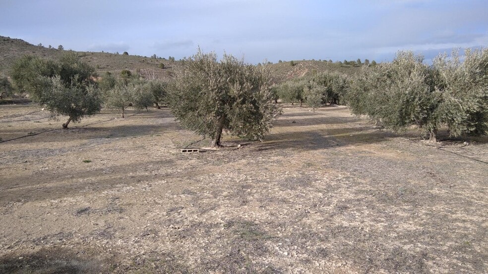 Terreno en Calasparra, Murcia en venta - Foto del edificio - Imagen 3 de 26