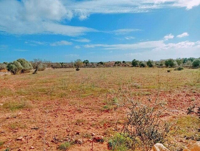 Más detalles de Terreno en venta