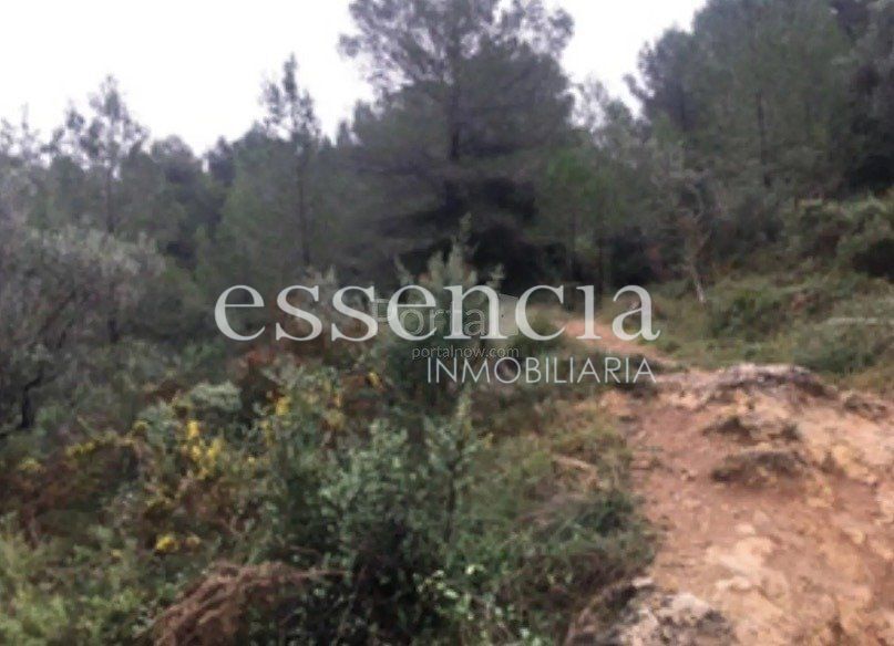 Terreno en Oliva, Valencia en venta - Foto del edificio - Imagen 3 de 6