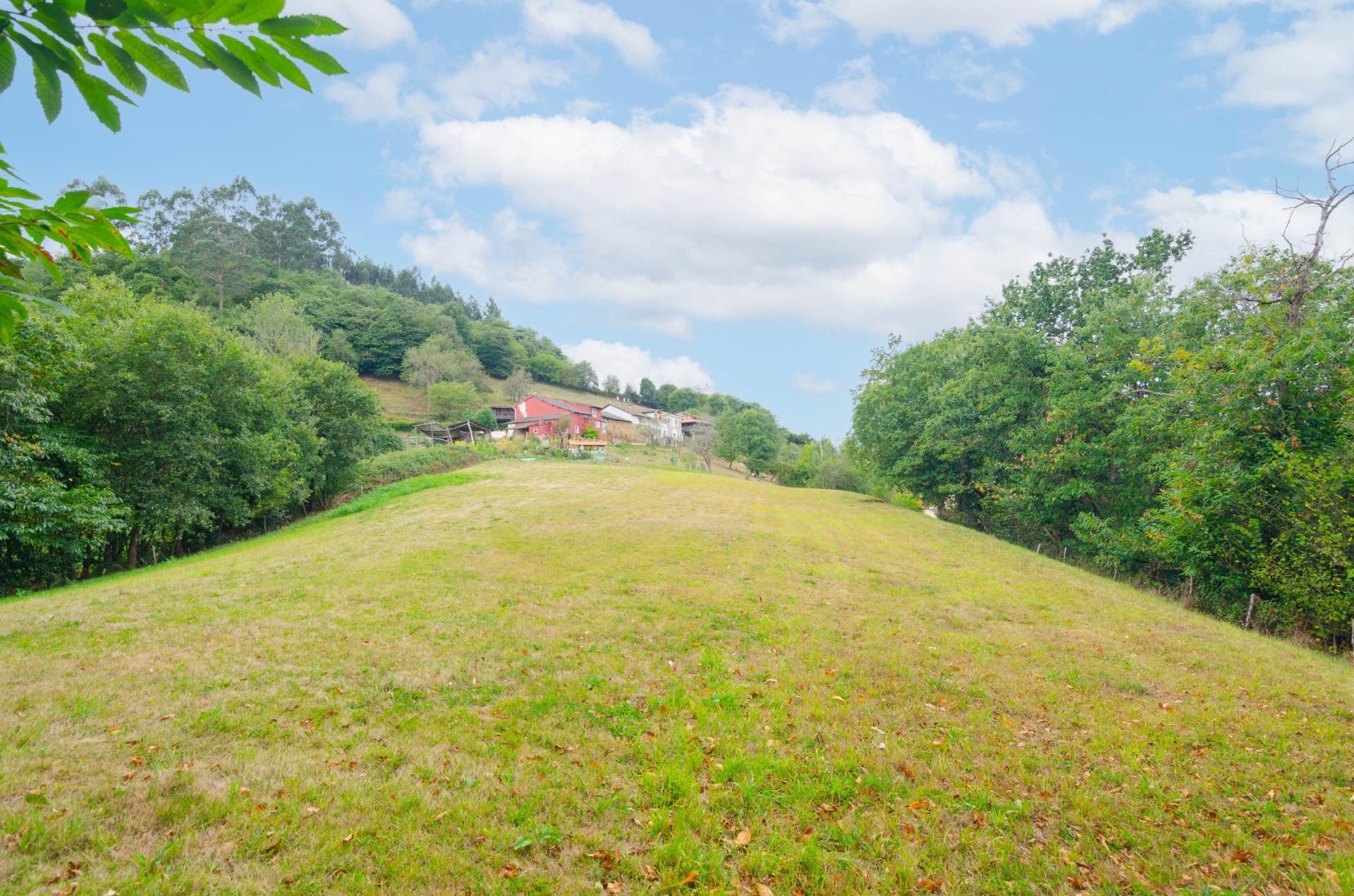 Quintana, Villaperez, Prado, Oviedo, Asturias en venta Foto del edificio- Imagen 1 de 34
