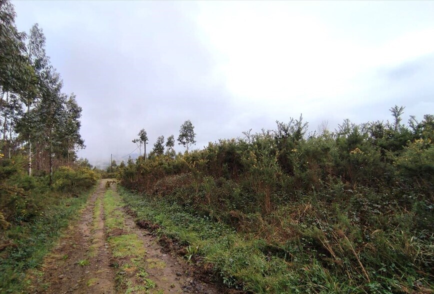 Terreno en A Coruña en venta - Foto del edificio - Imagen 3 de 16