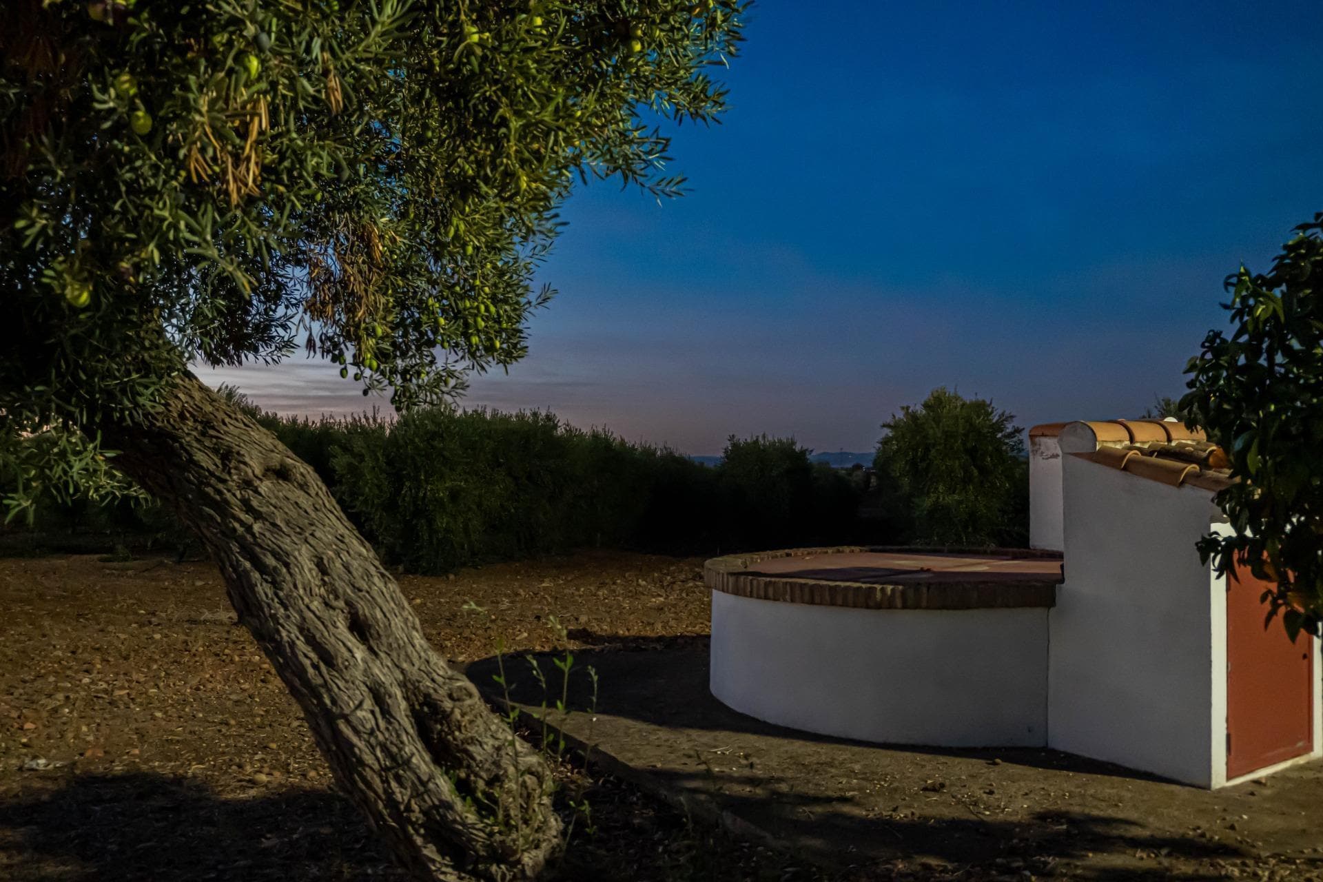 Terreno en Carmona, Sevilla en venta Foto del edificio- Imagen 1 de 61